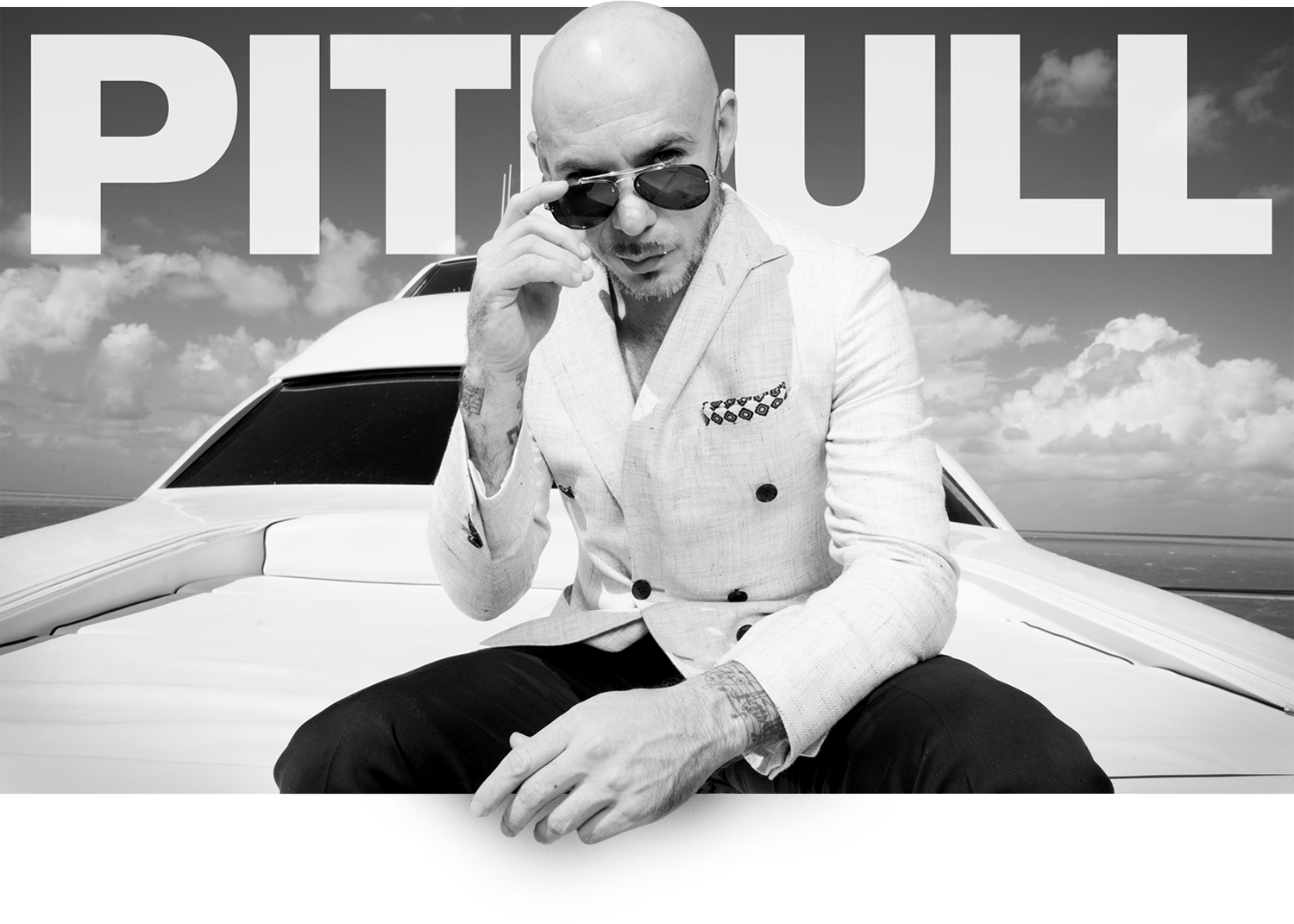 Pitbull
